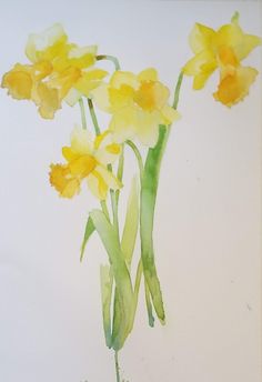 watercolor painting of yellow daffodils on white paper