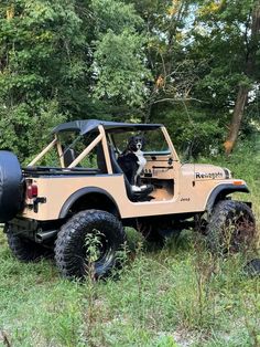 a dog is sitting in the driver's seat of an off - road jeep