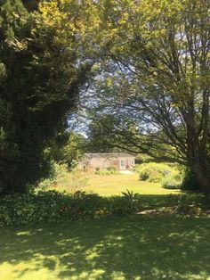 an open field with trees and flowers in the foreground, on a sunny day