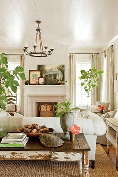 a living room filled with furniture and a fire place in front of a fireplace covered in potted plants