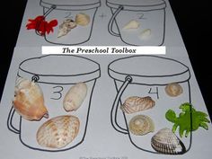 the preschool toolbox is filled with seashells and other sea creatures to learn how to use them