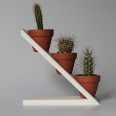 three potted cactus plants sitting on top of a white shelf