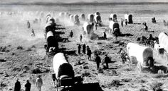 an old black and white photo of people in the desert with horses, wagons and cattle