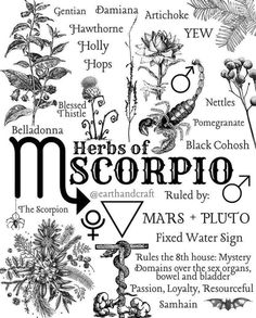 the herbs of scorpio by mars and pluto, with their names in cursive font