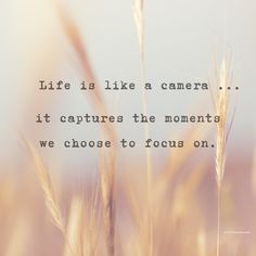 the quote life is like a camera it captures the moments we choose to focus on