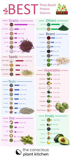 Vegan Protein Sources Chart, Plant Based Proteins, Pancakes Low Carb, Protein Cupcakes, Smoothies Vegan, Vegetarian Protein Sources