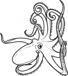 an octopus coloring page with the letter k on it's head and tentacles in its mouth