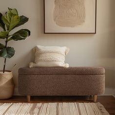 a living room with a couch, potted plant and framed art on the wall