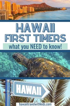 a sign that says hawaii first timers, and an image of a turtle swimming in the ocean