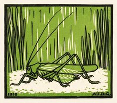 a drawing of a grasshopper on the ground in front of some water plants and reeds