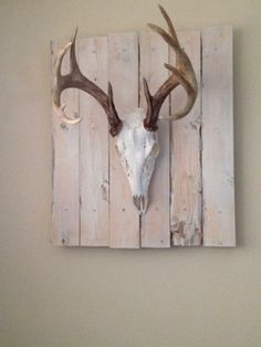 an image of a deer's head mounted on a wooden plank wall with antlers