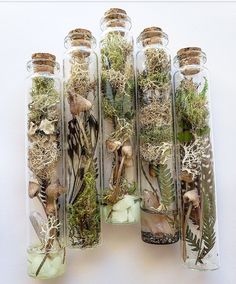 several glass bottles filled with different types of plants and rocks, all sitting on top of each other