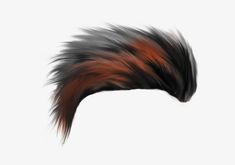 an animal's tail is shown in this artistic photograph, it appears to be brown and black