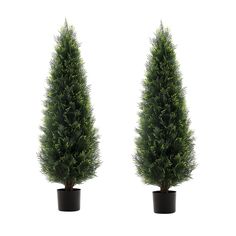 two potted trees on a white background