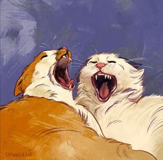 two white cats with their mouths open and one cat has its mouth open while the other is yawning