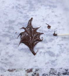 a chocolate leaf is on the ground next to a toothbrush