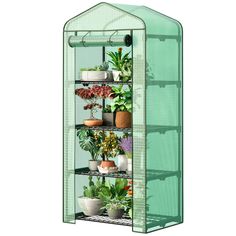 a green house filled with lots of plants and potted plants in it's sides