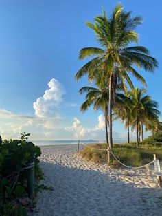 a beach with palm trees and a hammock in the sand