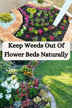 a flower bed with flowers in it and the words keep weeds out of flower beds naturally