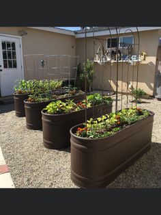 several large planters filled with plants in front of a house