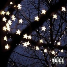 star decorations night tree Stars Stimboard, Zero Core, Watching The Stars, Music Cover Photos, Music Album Cover, Look At The Stars, Love Stars, Music Covers