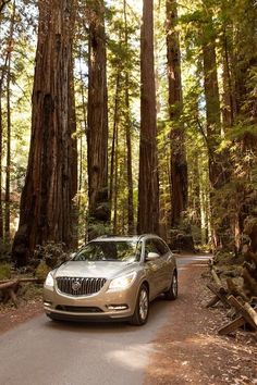 a silver car driving down a road surrounded by tall trees