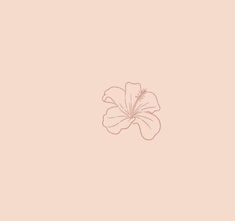 a pink flower is shown on a light pink background with the word love written below it