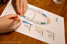 How to Floss and Healthy Teeth Activities for Kids - Meet Penny Healthy Teeth Activities For Kids, Teeth Activities For Kids, Healthy Teeth Activities, Teeth Activities, Science Kids, Teaching Lessons Plans, Health Class, School Health, Bad Mom