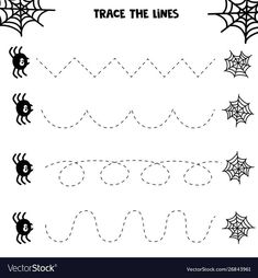 trace the lines with spider webs