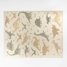 a rug with different types of dinosaurs on it