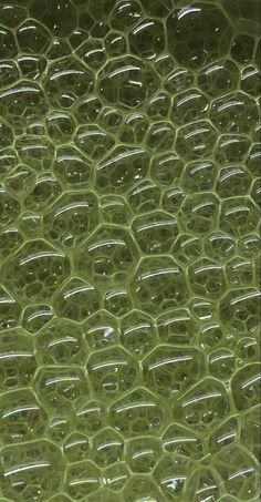 close up view of green plastic material that looks like hexagonal cells or bubbles