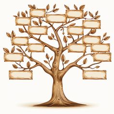 a family tree with four frames attached to it