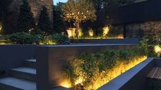 an outdoor area with stairs and plants lit up by lights on the side of it