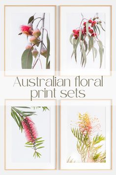 four australian floral prints with the text australia floral print sets in gold and white frame