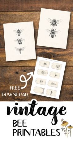 bee printables with the text free vintage bee printables on top and below