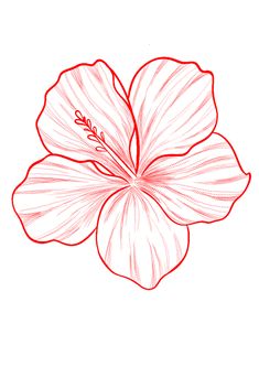 a drawing of a flower with red lines on the center and bottom half of it