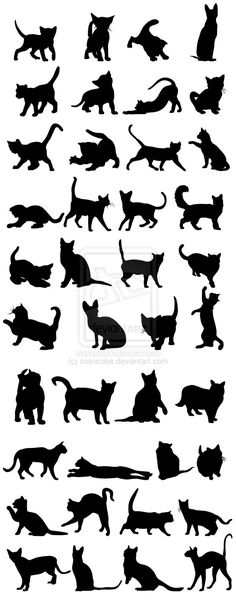 silhouettes of cats and dogs