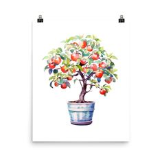 an apple tree in a pot with leaves on it, watercolor painting by artist susan gr