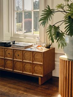 a potted plant sitting on top of a wooden table next to a window with white trim