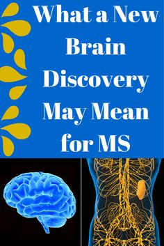 What a New Brain Discovery May Mean for MS: The discovery has been made and confirmed: Our brain has a lymphatic system. Now, what will this do for people with MS #ms #brain #discovery | everydayhealth.com Ms Exercises, Multiple Sclerosis Symptoms, Memory Problems, Rare Disease, Central Nervous System, Speech Language Pathology, Occupational Therapy, Now What