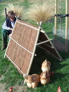 a man sitting on the ground next to chickens and a chicken coop with grass covering it