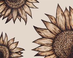 the sunflowers are drawn in brown and white ink on a light beige background