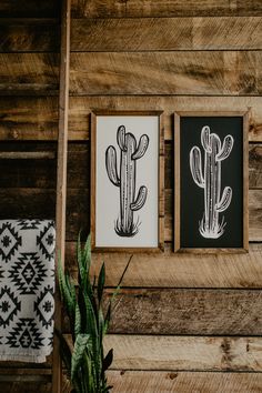 two framed cactus pictures on a wooden wall next to a plant and towel rack with a potted cacti in it