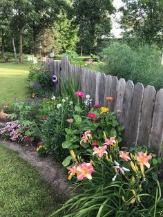 the garden is full of colorful flowers and plants