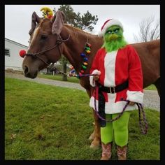 a man dressed as santa claus stands next to a horse in the grass with christmas decorations on its head