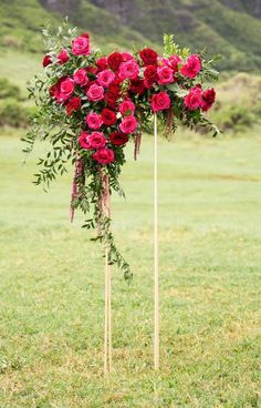 a bunch of flowers that are on top of some sticks in the grass with mountains in the background