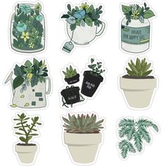 various potted plants stickers are shown in this image, including succulents and