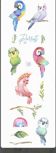 watercolor painting of birds and plants on white paper with the words parrots written in blue