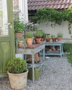 several potted plants are sitting on an old table in the gravel near a building