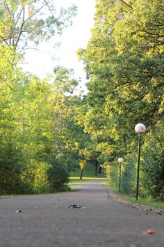 an empty road surrounded by trees and street lights in the middle of the day with no one on it